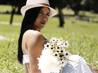 model