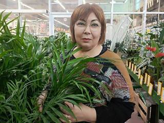 model